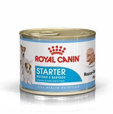 12x195g Royal Canin Starter Mousse - Cibo Umido per Cani 12x195g Royal Canin Starter Mousse - Cibo Umido per Cani